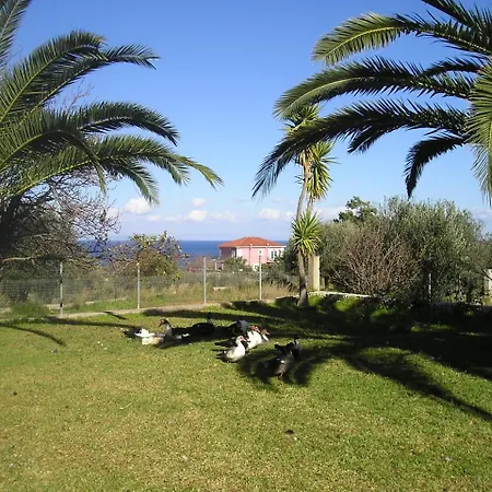 Ξενοδοχείο με διαμερίσματα Nikolaos Skala Skala (Kefalonia)